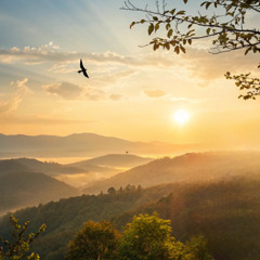 غنى وحب الحياة - شهرزاد