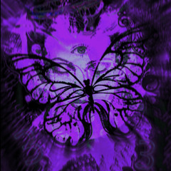 butterflyy..