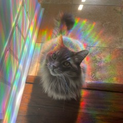 Dismal Dimensions.wav