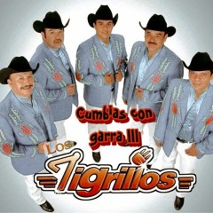 tigrillos  mix  en vivo  tiktok  dj elapache