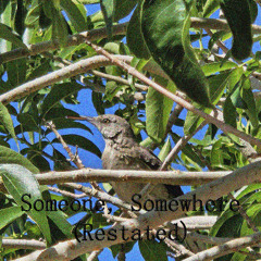 Someone, Somewhere (Restated)
