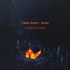 Aries - CABIN FEVER (notguru remix)