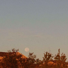 Maybe I should just go to sleep