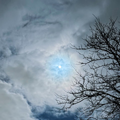 Daylinxl guidance.mp3