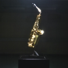 Throw My Head Out The Window