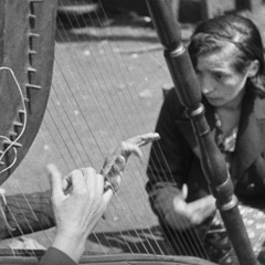 113 Cueca Con Arpa. Justina Figueroa. Curacautín, Araucanía, Chile.