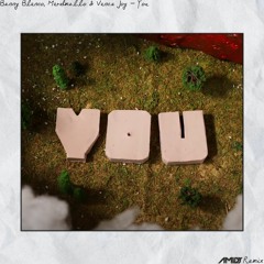benny blanco, Marshmello & Vance Joy - You (AMIDY Remix)