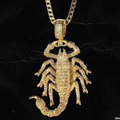 Plug LEAK 20' - Drake