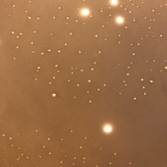 jeg kan godt lide når folk