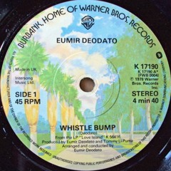 Deodato - Whistle Bump (Delfonic Rework)