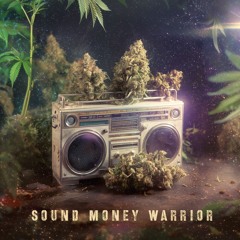 Sound Money Warrior (Original Mix)