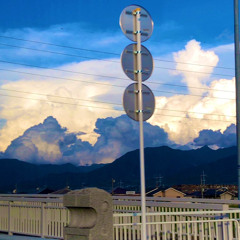 永すぎた日向で