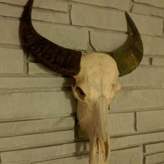 Stuck In The Middle Of IT