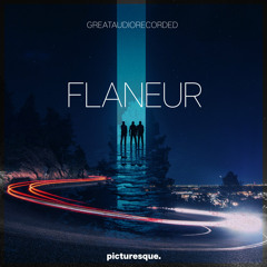 GreatAudioRecorded - Flaneur