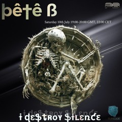 Pete_B_I_Destroy_Silence_03