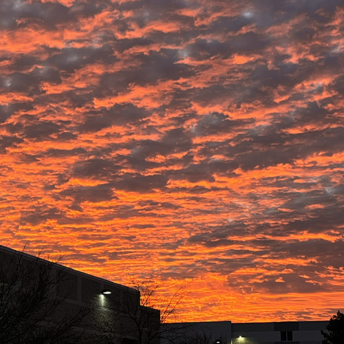 The Man! (prod. noevdv)