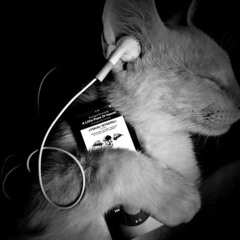 shoegaze (i think?) horrible mix