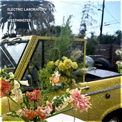 ELECTRIC LAB #28: Westminster