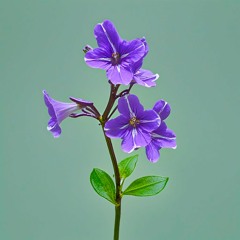 Ciclo Infinito (Original Mix)