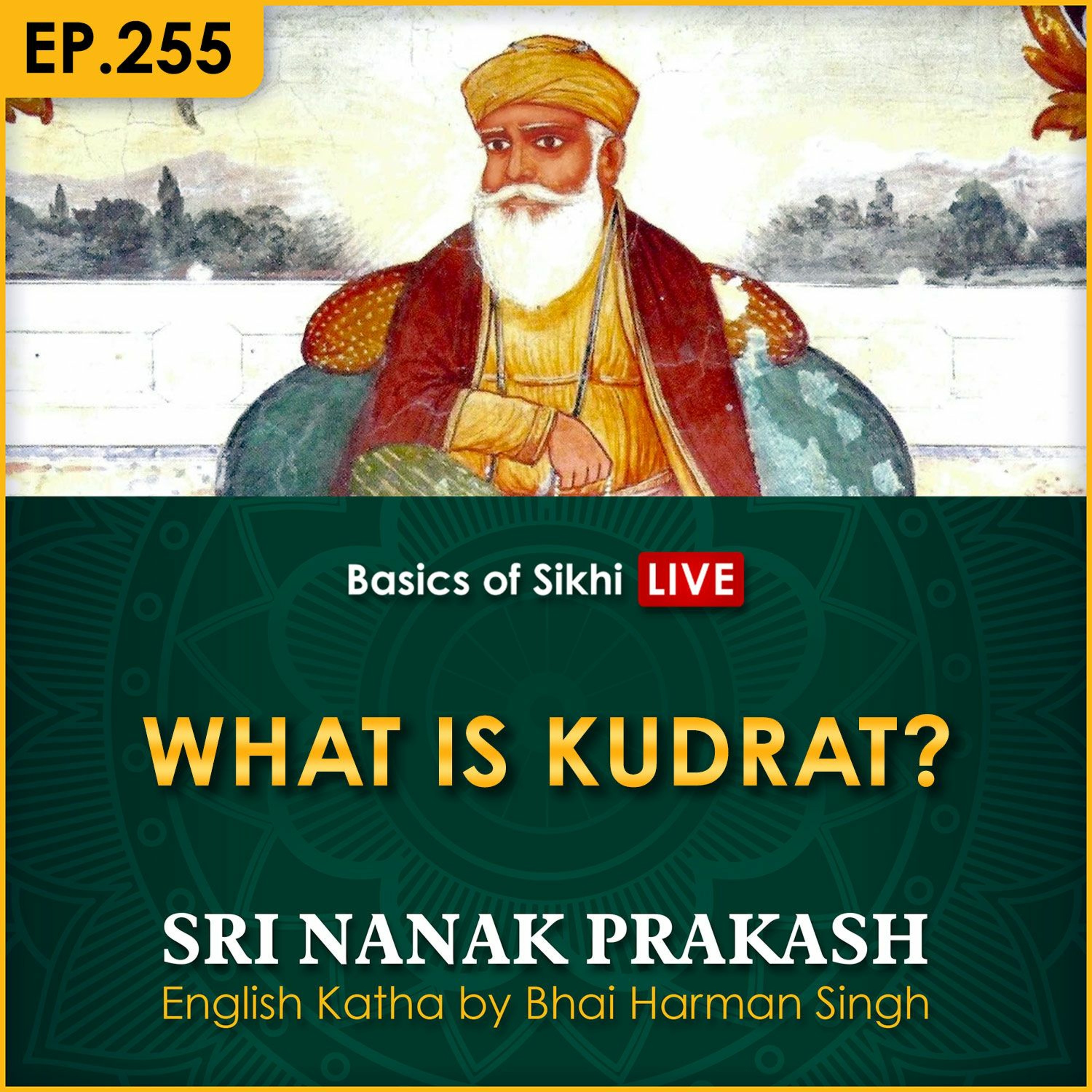 #255 What is Kudrat? | Sri Nanak Prakash Katha | Bhai Harman Singh episode artwork