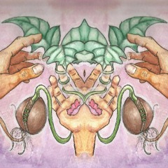 Searchin' For Sunshine