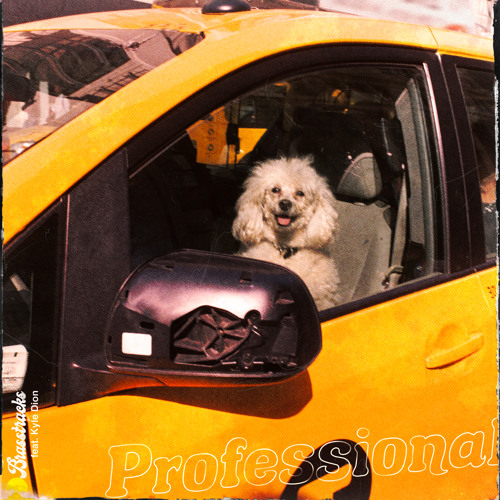 Professional (feat. Kyle Dion)