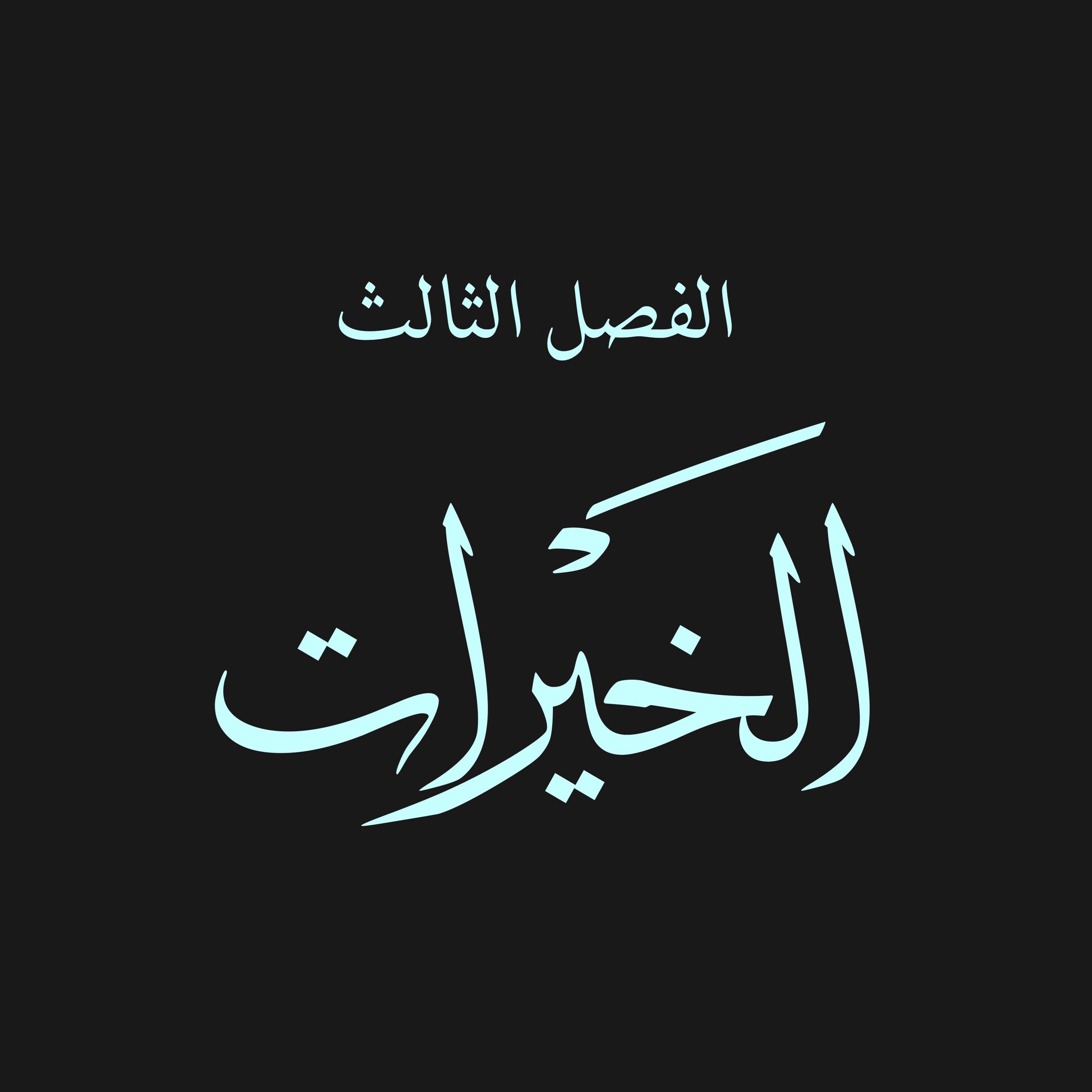 قص الحق 16 : الخيرات 1 : حقوق توزيع الثروات وثقافات سلوكيات الناس، حقوق الأفراد للوصول للمعادن شرعا episode artwork