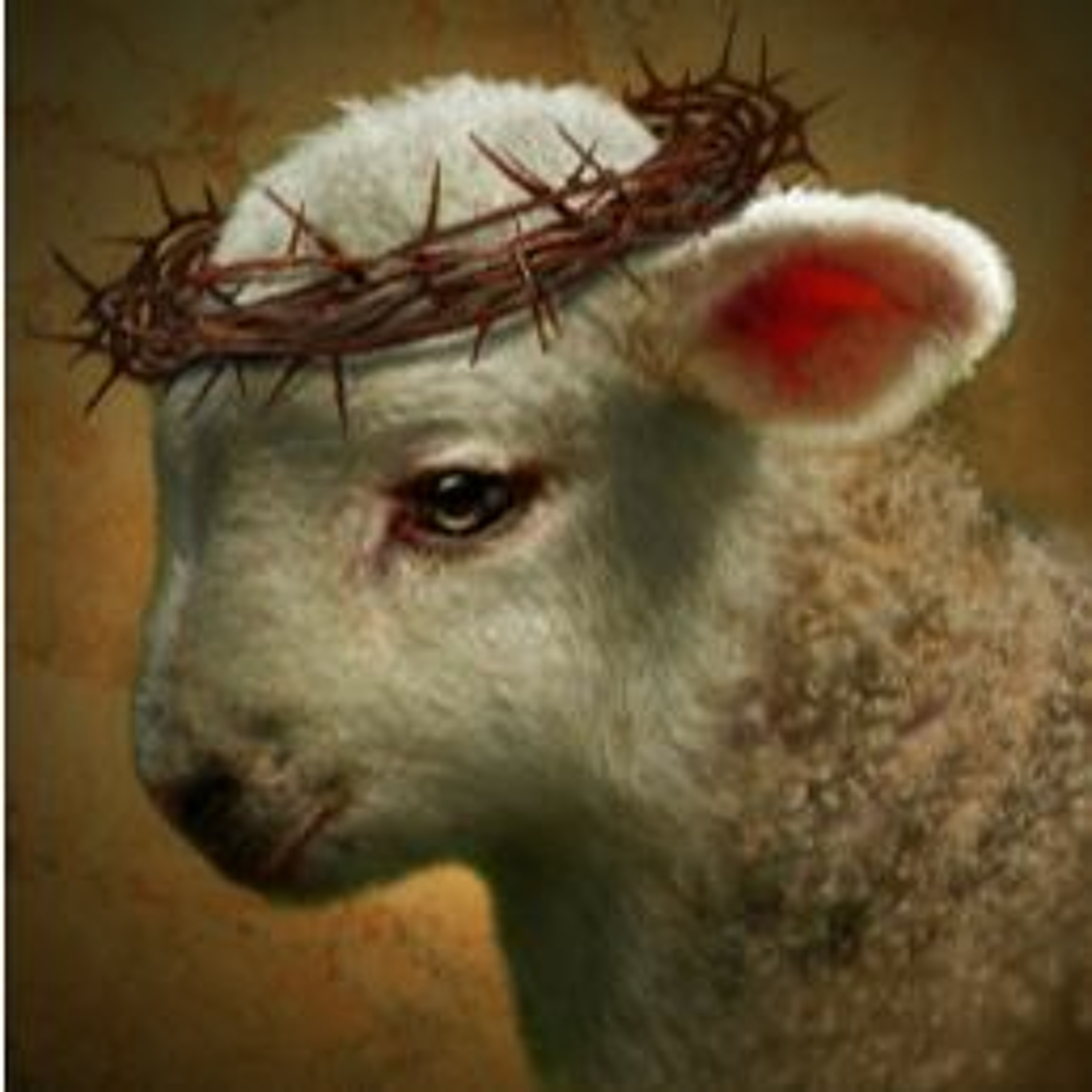 218. NIGHTLIGHT EASTER SPECIAL (The Story Of The Lamb - with David Kiran) episode artwork