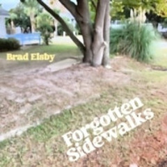 I Wish I Could Go Back