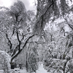 Frío Ft @punkblun - @uliflexinn