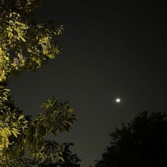 اللَّهُ نُورُ السَّمَاوَاتِ وَالْأَرْضِ| للقاريء عبدالله مصطفى