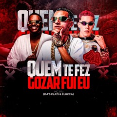 QUEM TE FEZ GOZAR FUI EU - MC PAI - DJ's FLATI & ZLUCCA