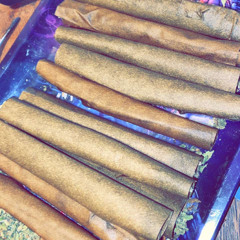 False - Ghosty~Johno$~Sayword~jLok