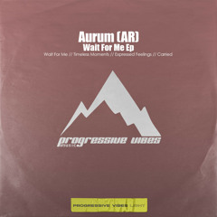 Aurum (AR) - Carried (Original Mix) [Progressive Vibes Light - PVM813L]