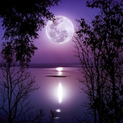 Birthday Sex Jeremih TikTok Remix