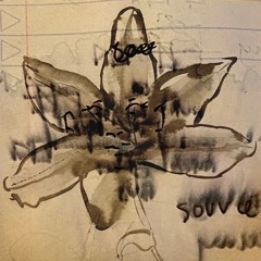 020223_sulfur/salt/mercury