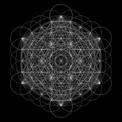ego + Sidekick - 2hollis
