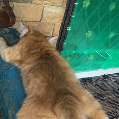 I'tiraf (Seruling Instrumental) AVAILABLE NOW ON SPOTIFY!