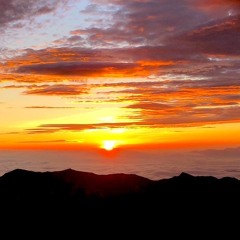 JAPANESE REGGAE MIX Vol.4 ~LIFE~