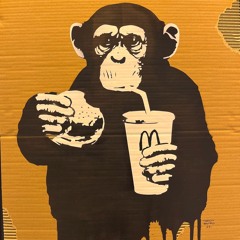 Shiiro - Groovie Disco Set - Paris