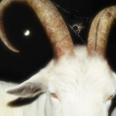 BAPHOMET (prod.loxxani)