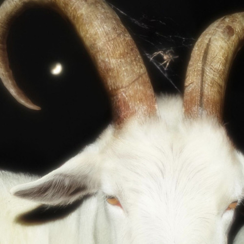 BAPHOMET (prod.loxxani)