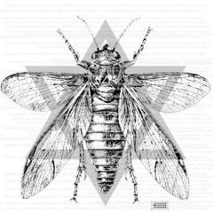 Fentanyl “cicada” prod @syrealugly