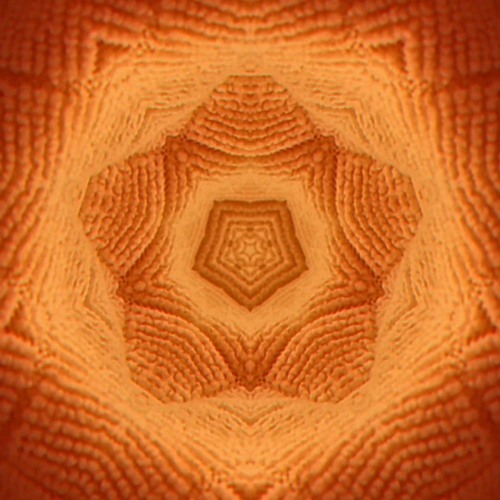 Direct Control - For The Benefit Of Everyone