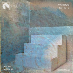 PREMIERE | Liquid Mechanics - Pick The Groove [WAPMEP041]