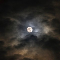 وضرب الله مثلاً قريةً كانت آمنةً مطمئنة