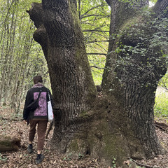 From Beneath You, It Devours