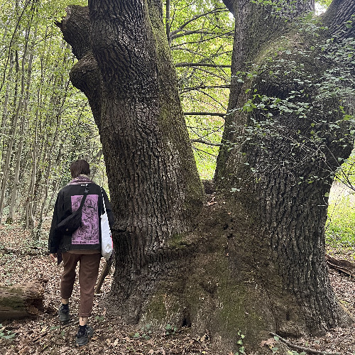 From Beneath You, It Devours