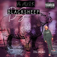 Black Sheep