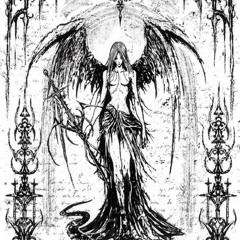 ##vitrification - clips of the new year